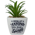  Faux Potted Succulent With Encouraging Message
