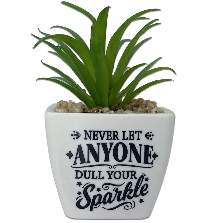 Faux Potted Succulent With Encouraging Message