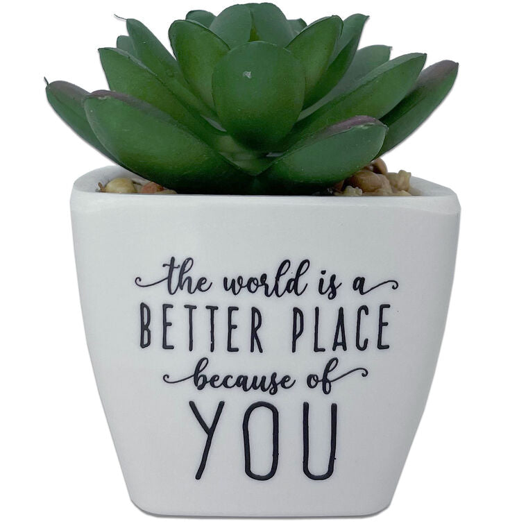 Faux Potted Succulent With Complimentary Message