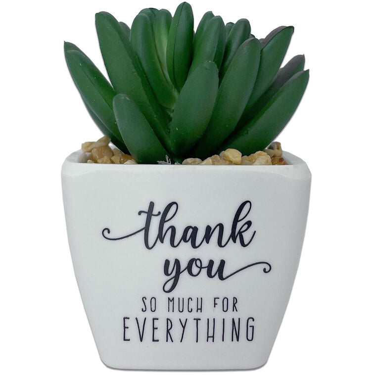  Faux Potted Succulent With Thank-You Message