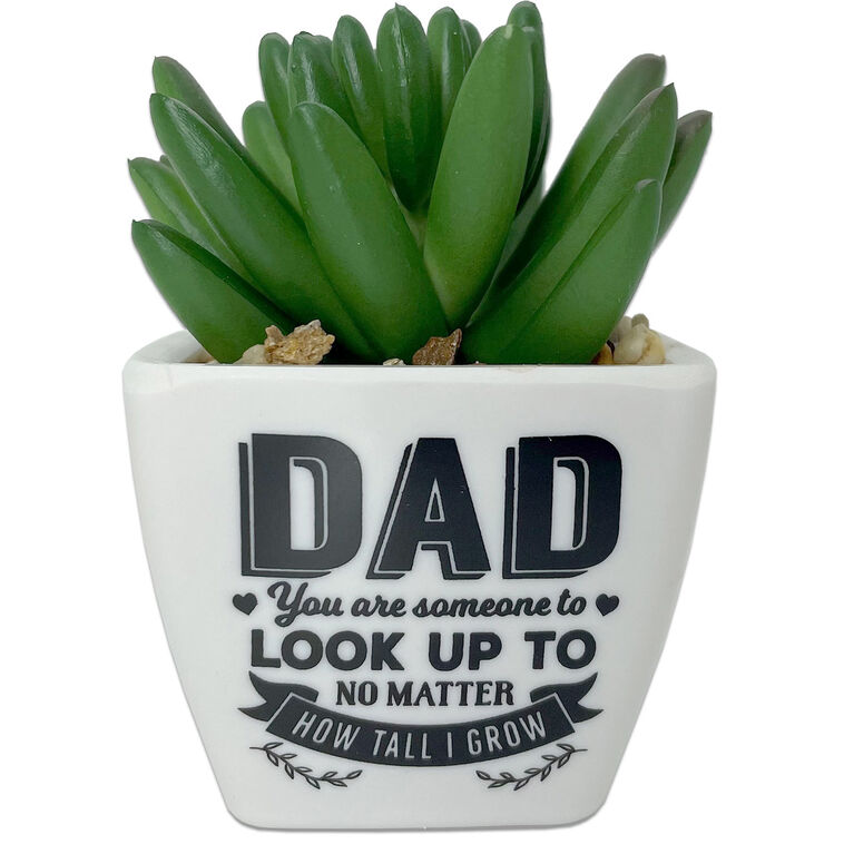  Faux Potted Succulent With Dad Message