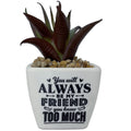  Faux Potted Succulent With Funny Friend Message