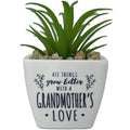  Faux Potted Succulent With Grandmother Message