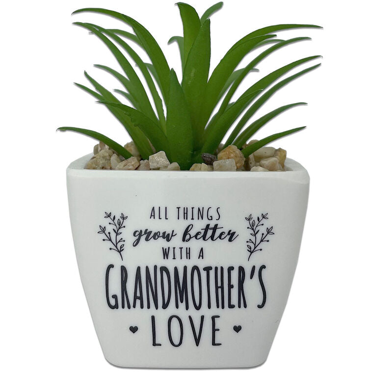  Faux Potted Succulent With Grandmother Message