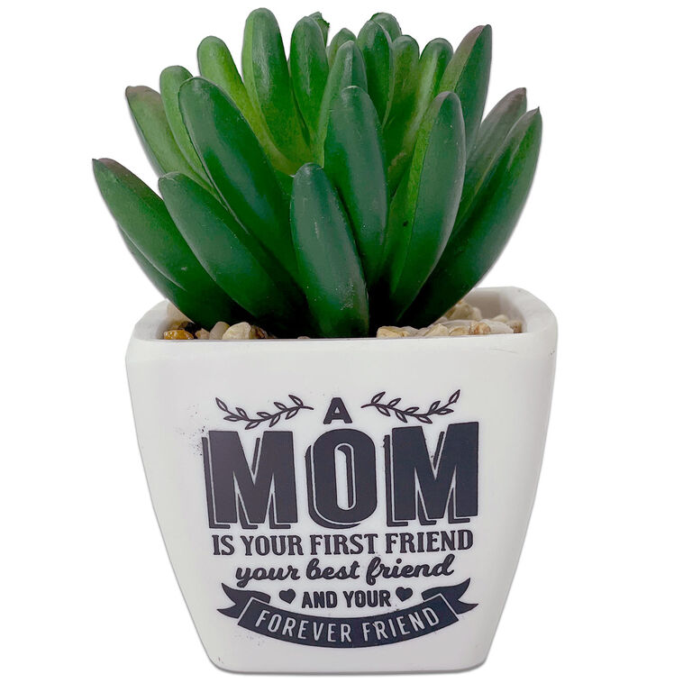  Faux Potted Succulent With Mom Message