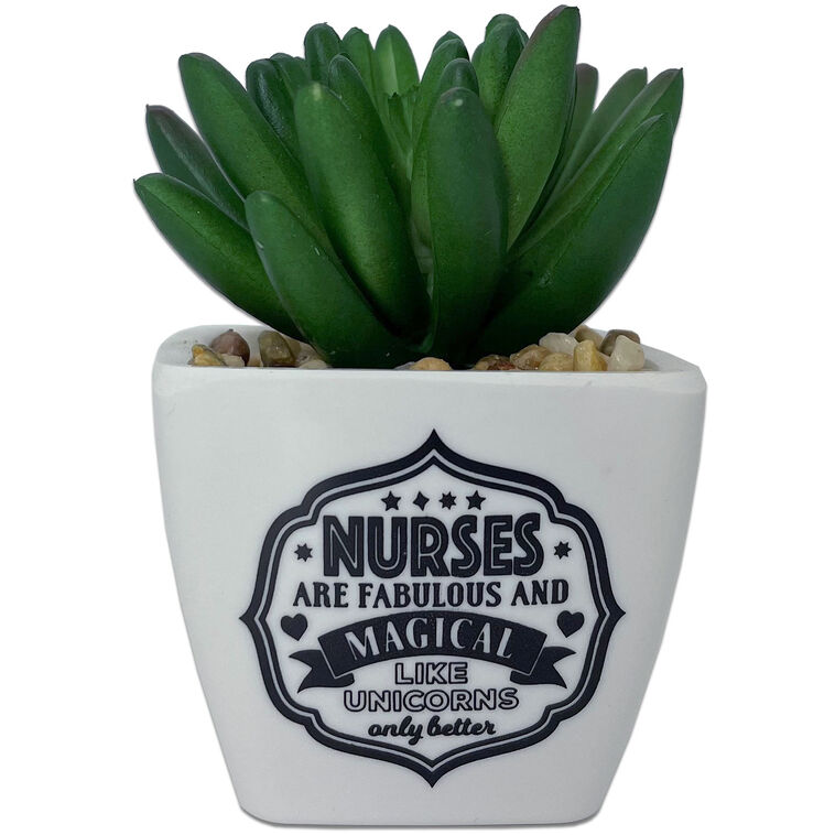  Faux Potted Succulent With Nurse Message