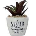  Faux Potted Succulent With Sister Message