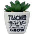  Faux Potted Succulent With Teacher Message