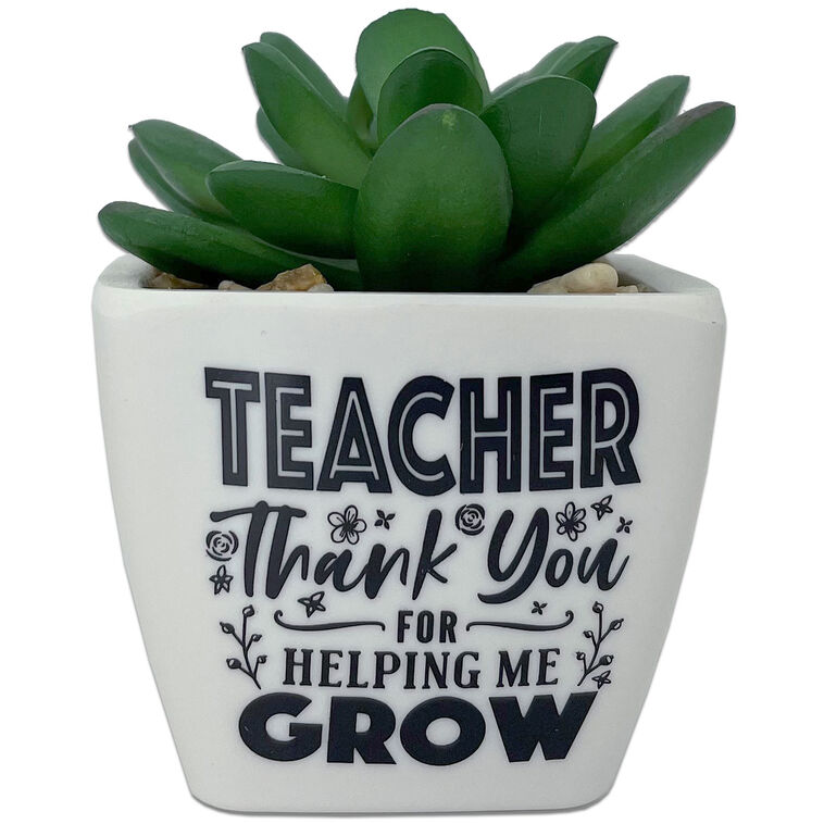  Faux Potted Succulent With Teacher Message