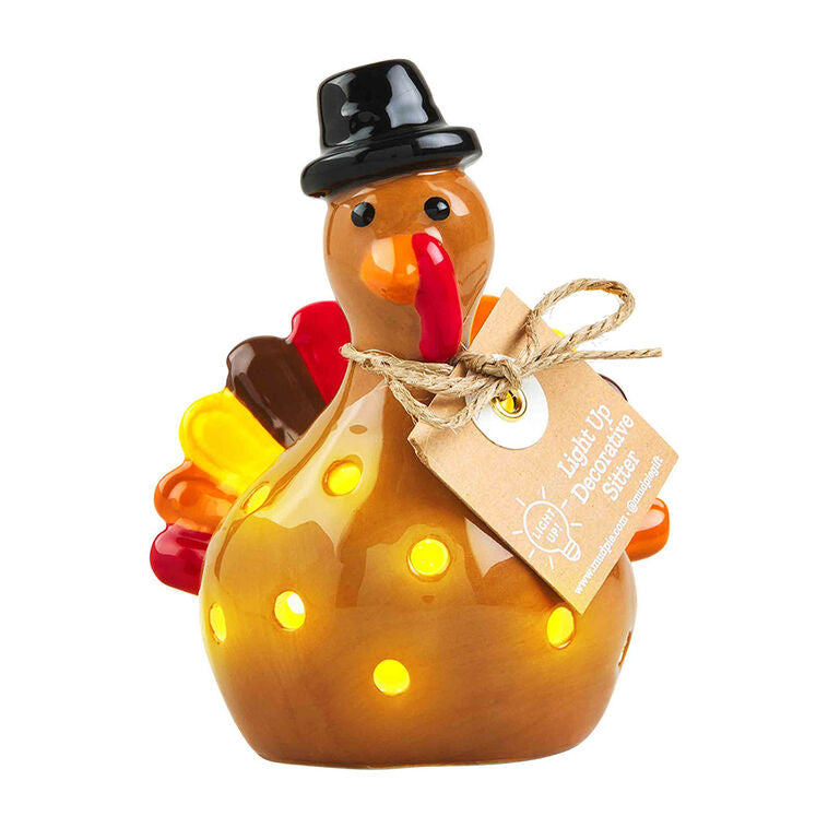  Mud Pie Light-Up Turkey Tabletop Decoration