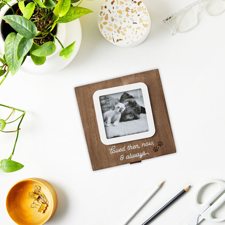 Hallmark Then, Now And Always Pet Memory Box
