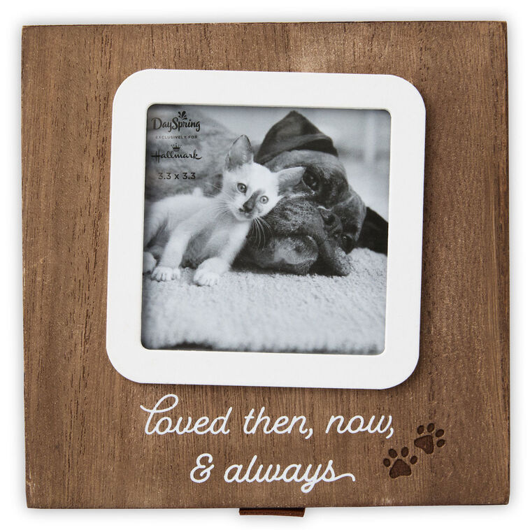 Hallmark Then, Now And Always Pet Memory Box